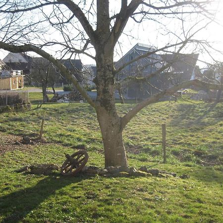 Unterm Nussbaeumle Apartment Adelhausen Luaran gambar